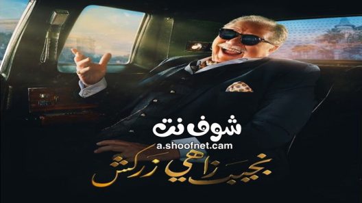 مسلسل نجيب زاهي زركشن الحلقة 29 التاسعة والعشرون